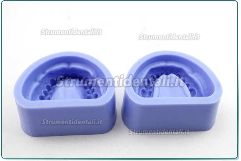 ENOVO Modello dente del silicone blocco preparazione della cavità